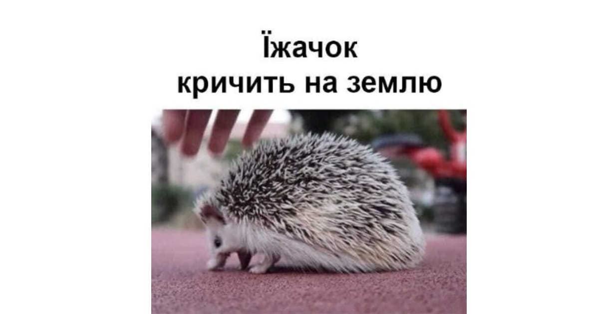 Чому автоматичні імпорти будь-де це жахлива ідея 💩 - Олександр Козак на we.ua