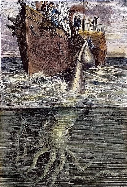 SEA MONSTER. Sailors of the French corvette Alecton