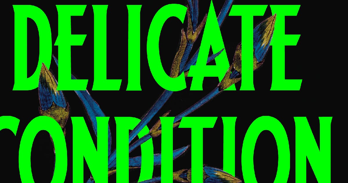 Огляд книги Delicate condition - Дарія Кононенко на we.ua