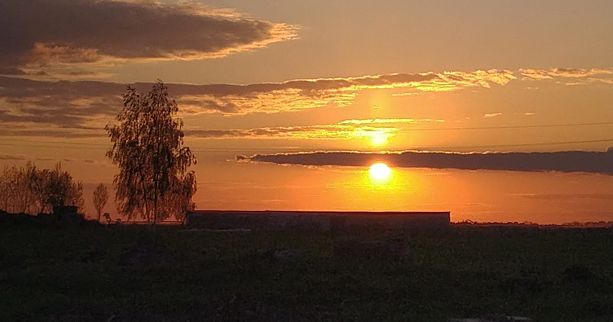 Genshin Impact, або чому варто ставити пріорітет китайських ігор близько до російських. - Результат пошуку на we.ua