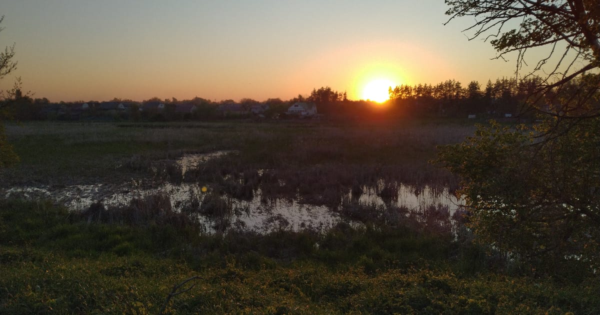 Як вигадати мову? - Результат пошуку на we.ua