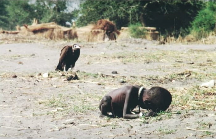 What happened to Kevin Carter after his vulture photo?