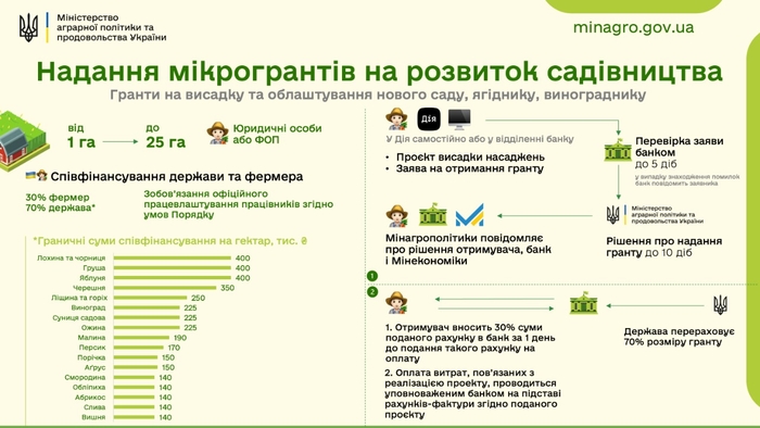 Гранти на садівництво: як подати заявку на створення власної справи|  Міністерство аграрної політики та продовольства України