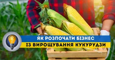 Картинка довгочиту