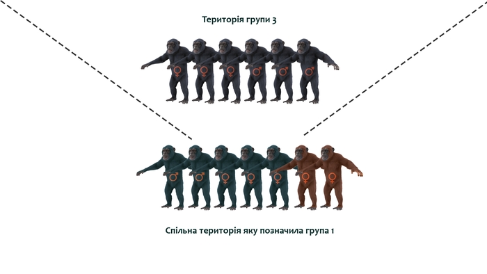 Схема протиборств мавп - 2