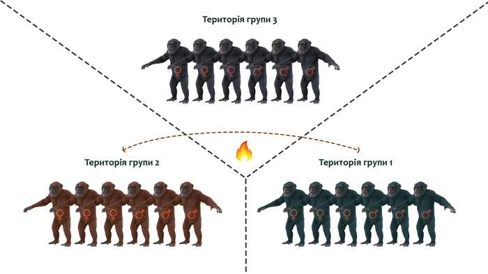 Схема протиборств мавп - 1
