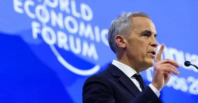 Картинка довгочиту