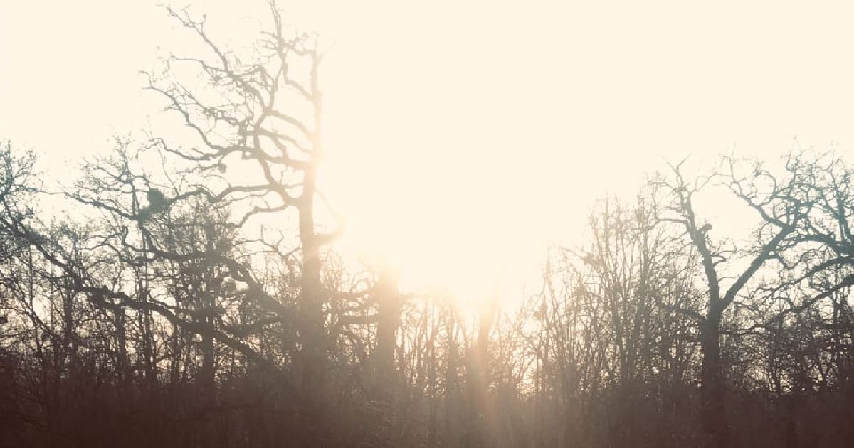 “Реферат про Атлантиду” - Яна Однорог на we.ua