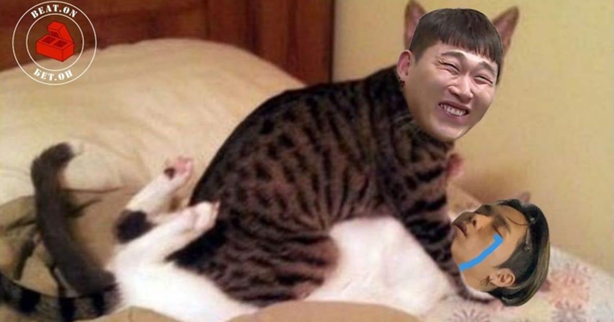 Beat.On Wall | Харизма проти Корони: Найнапруженіша діс-війна 2023 [Ч.4] - Кімбу на we.ua