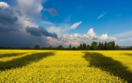 Коли закінчиться війна? - Мілітарний