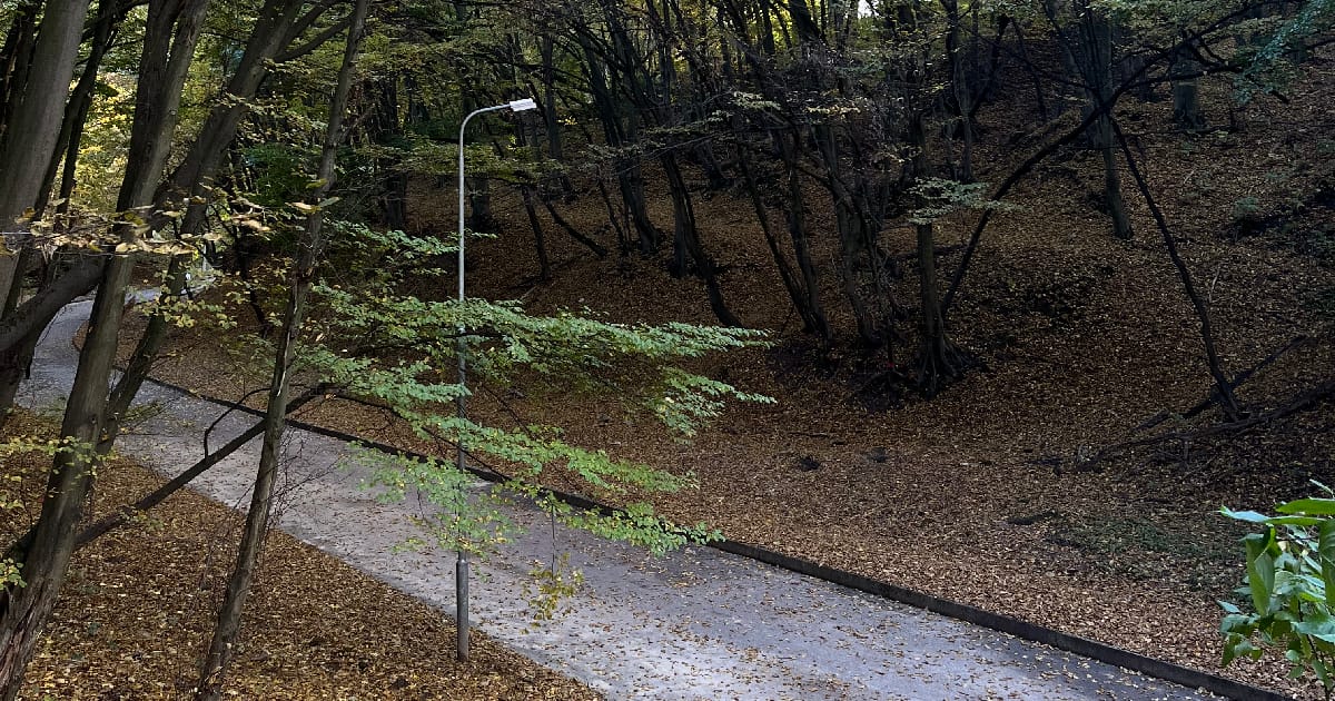 осінь пробуджує - v13saturn на we.ua