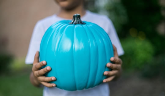 Teal Pumpkins For Halloween: What They Mean | WJCT News 89.9