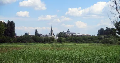 Картинка довгочиту