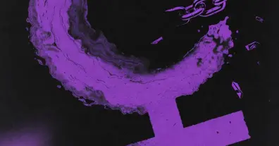 Картинка довгочиту