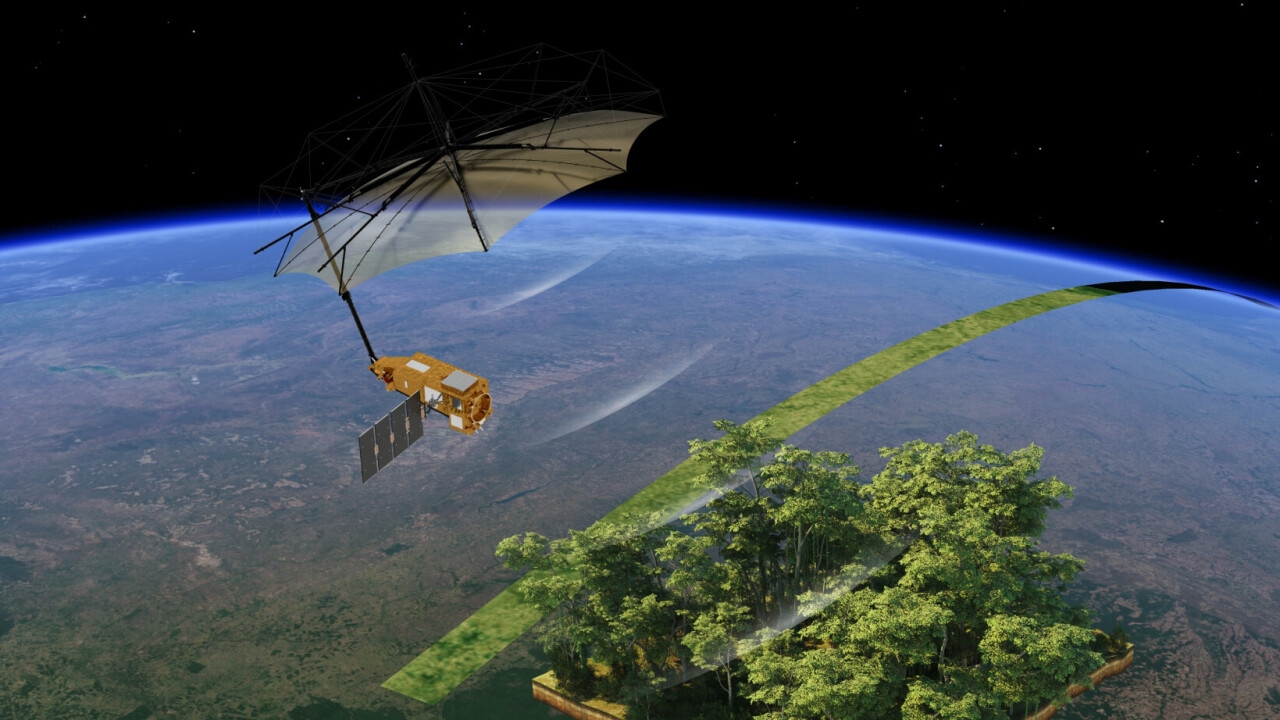 ‘Space umbrella’ returns first striking images of Earth’s forests