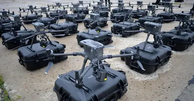 Картинка довгочиту