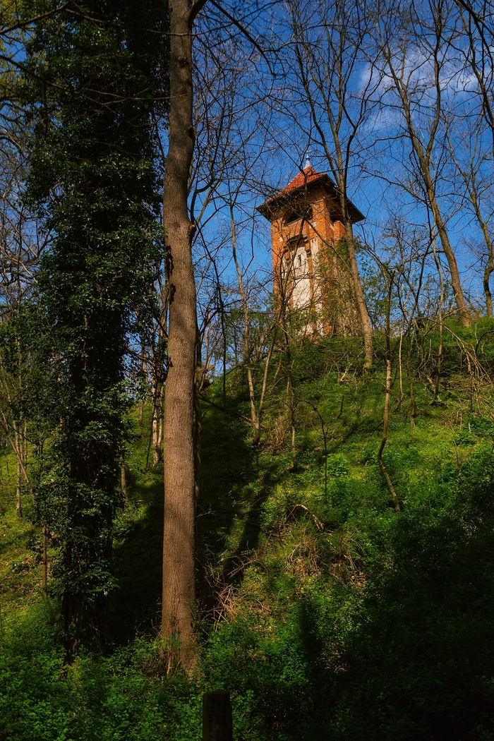 A lookout tower on the castle hill in Biesenthal.