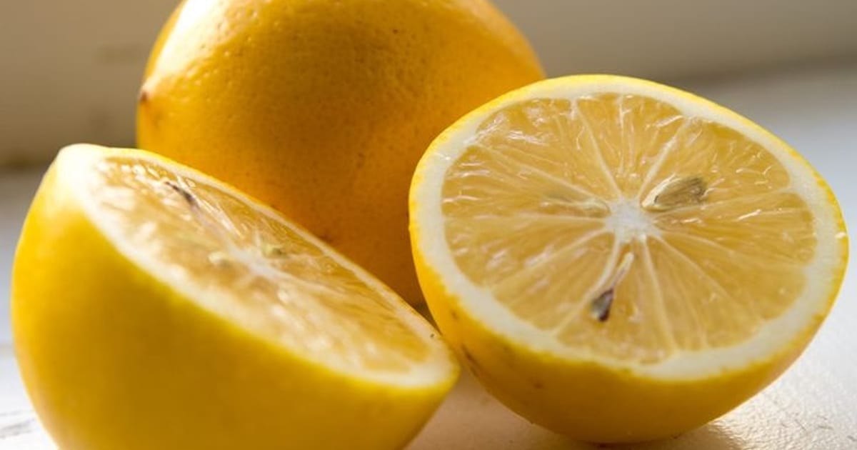 Лимони Меєра - ТЕОРІЯ ГАСТРО ОРГАЗМУ на we.ua