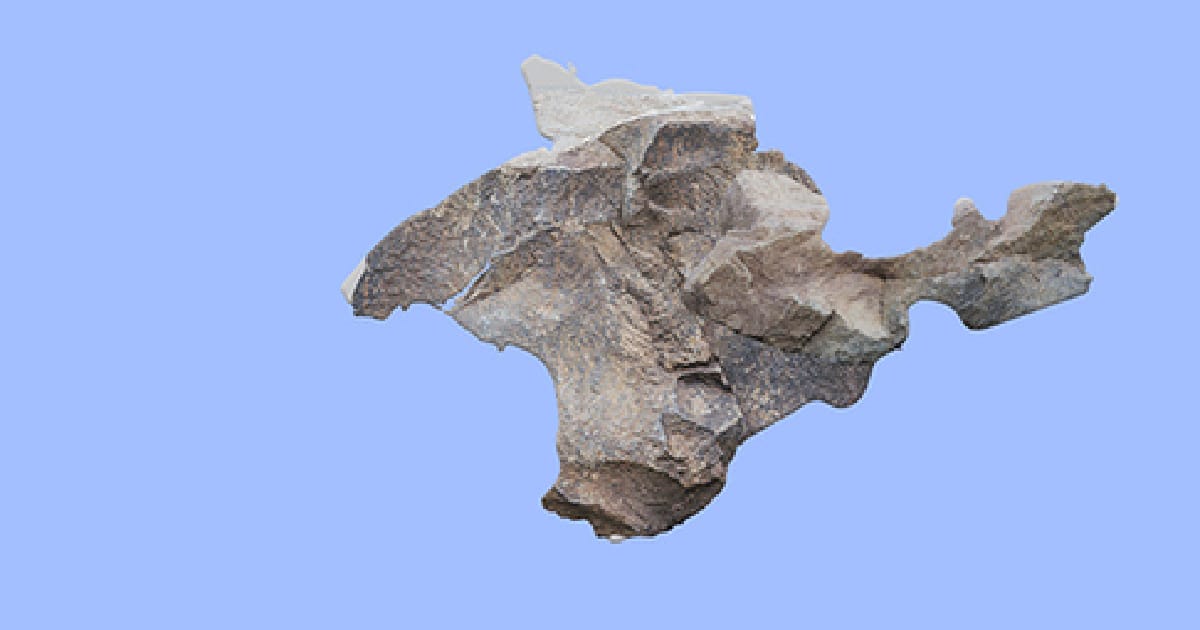 Я тільки що дочитала 