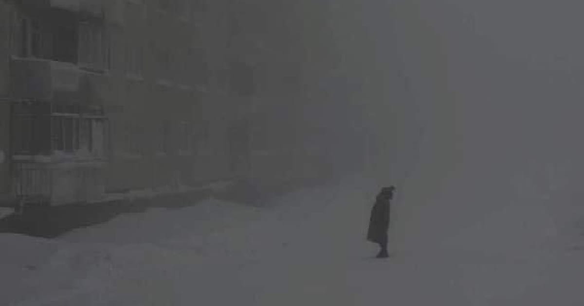 Я бачу вас цікавить пітьма - Іларіон Павлюк 🐦‍⬛🪙 - Kleo на we.ua