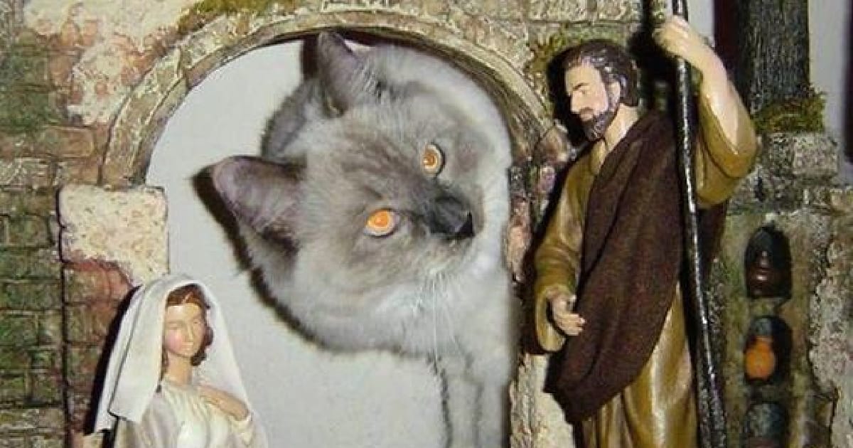 Сім вимірів релігії - Дармакрий на we.ua