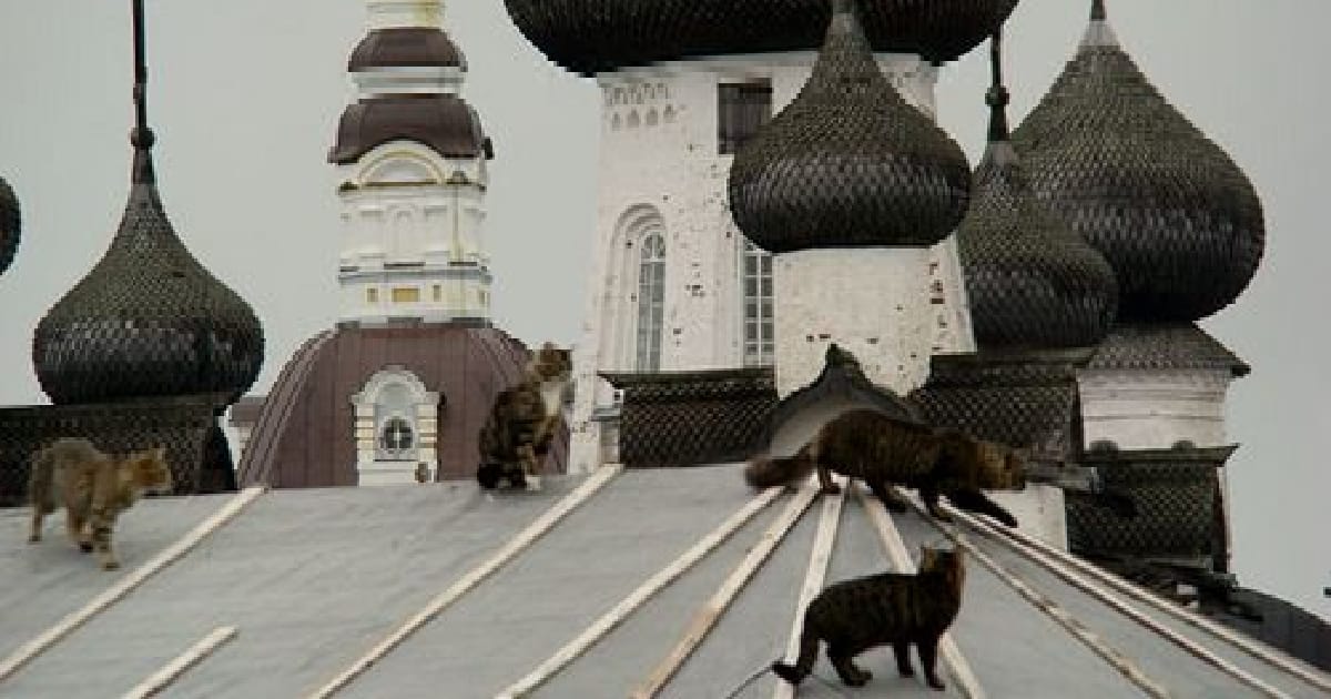 Що таке релігійна грамотність? - Дармакрий на we.ua