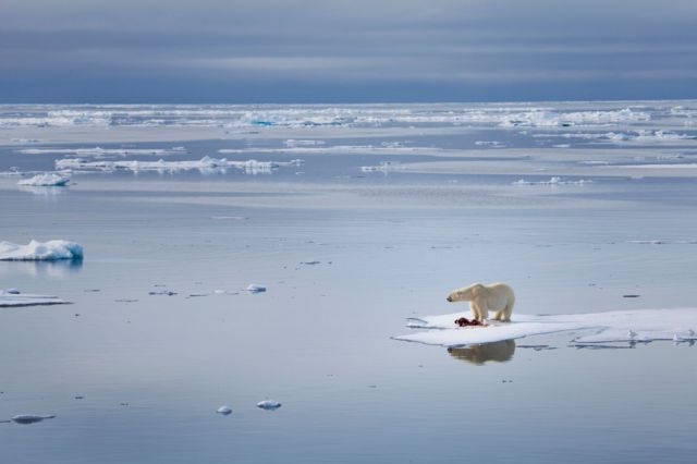 Підпис до фото,Чим менше в Арктиці льодовиків, тим більше зростає там конкуренція за потенційні ресурси