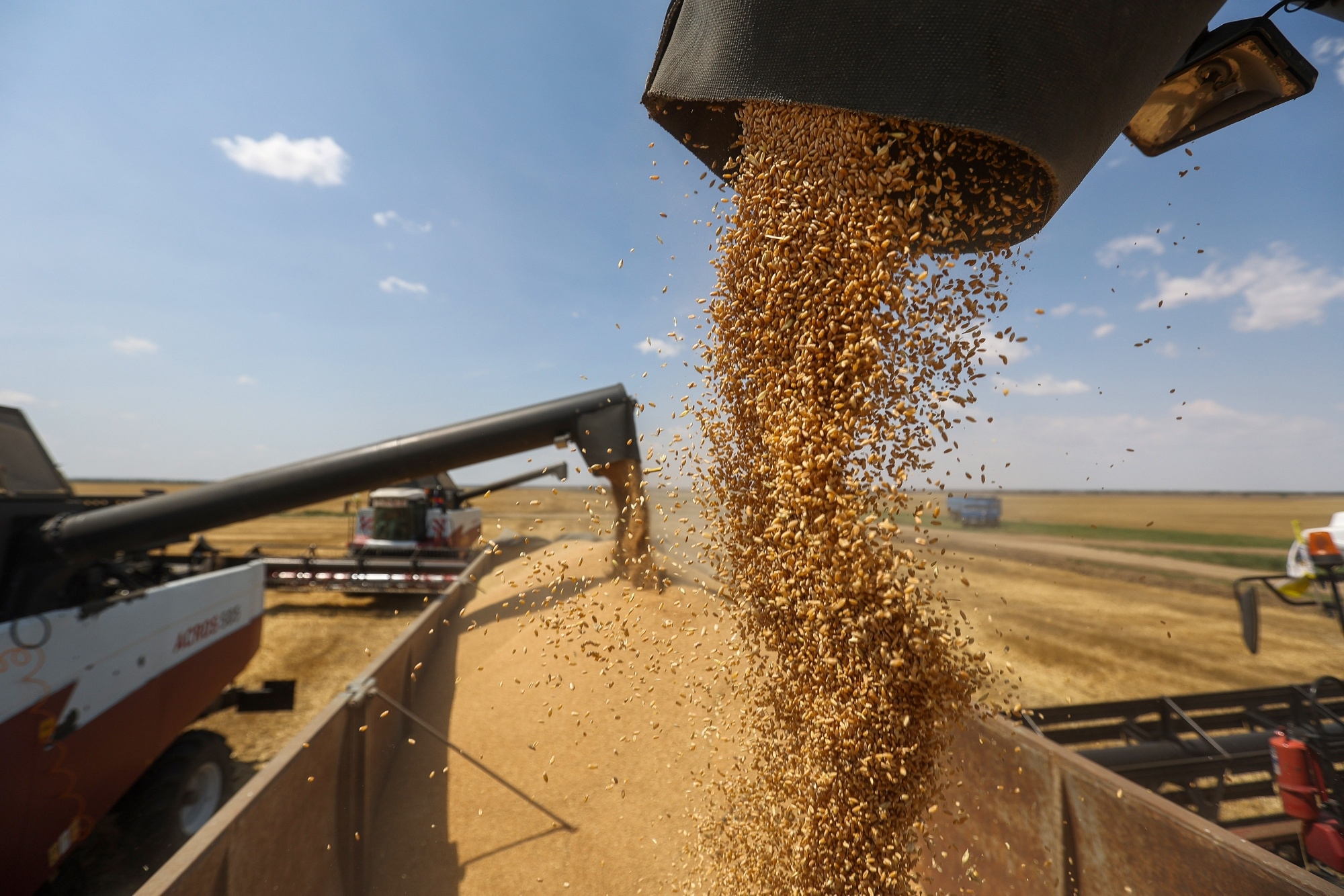 A summer harvest near Stavropol, Russia.