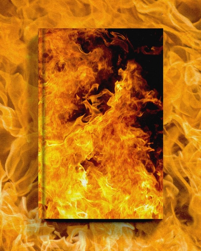 illustration of a book engulfed by flames