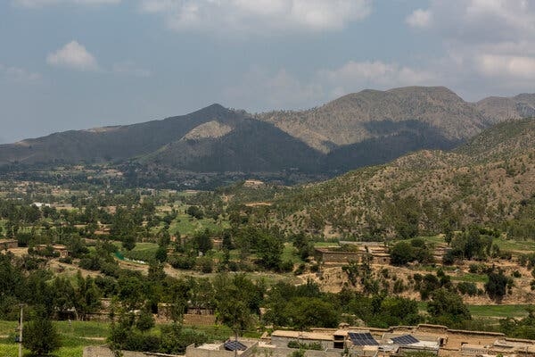 A landscape with many green trees and mountains in the background.