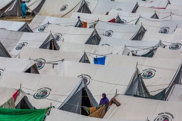 Rows of white tents with a government emblem on them.