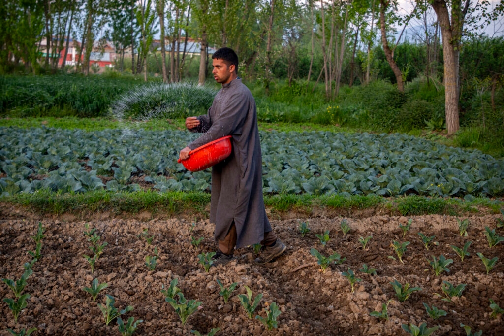 Four scenarios for a looming global food crisis