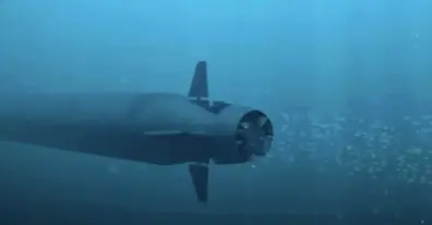 Картинка довгочиту