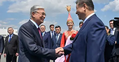 Картинка довгочиту