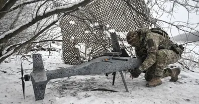 Картинка довгочиту