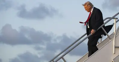 Картинка довгочиту