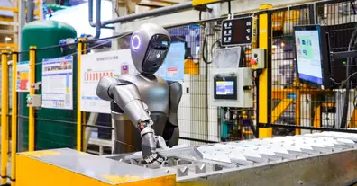 Картинка довгочиту