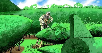 Картинка довгочиту