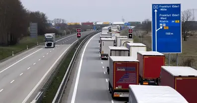 Картинка довгочиту