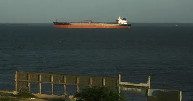 Картинка довгочиту