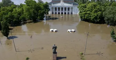 Картинка довгочиту