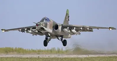 Картинка довгочиту