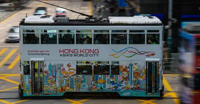 Картинка довгочиту