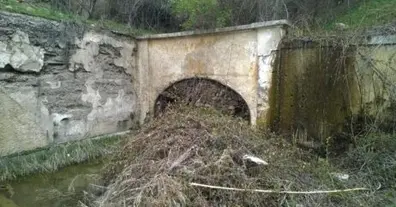 Картинка довгочиту