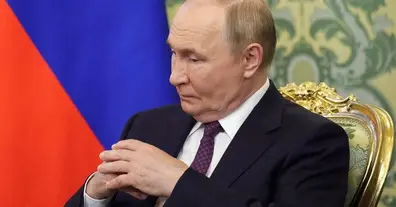 Картинка довгочиту