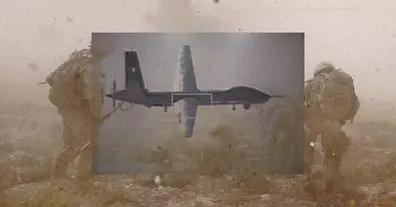 Картинка довгочиту