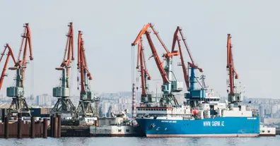 Картинка довгочиту