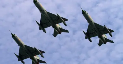 Картинка довгочиту