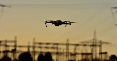 Картинка довгочиту