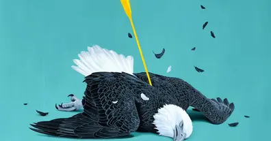 Картинка довгочиту